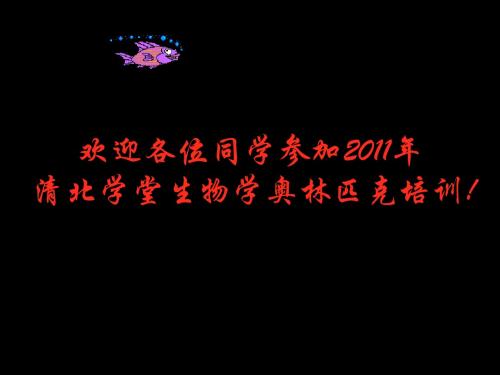 奥赛培训2011