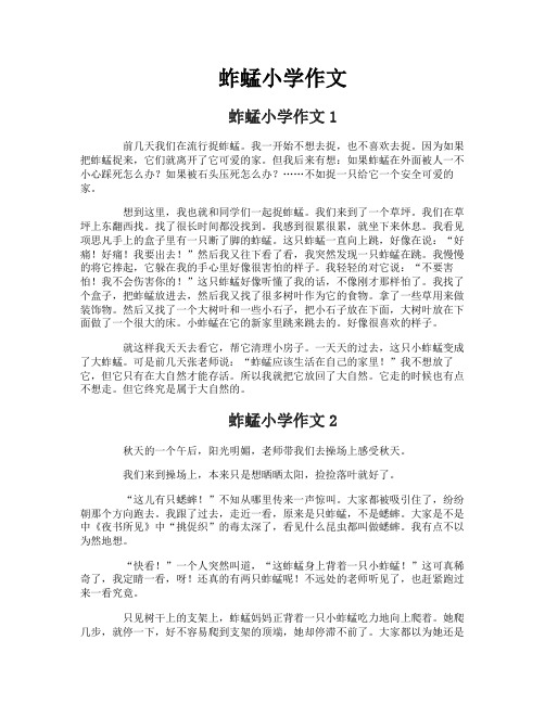 蚱蜢小学作文
