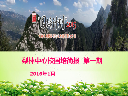 梨林中心校国培简报第一期PPT课件