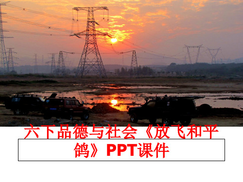 最新六下品德与社会《放飞和平鸽》PPT课件