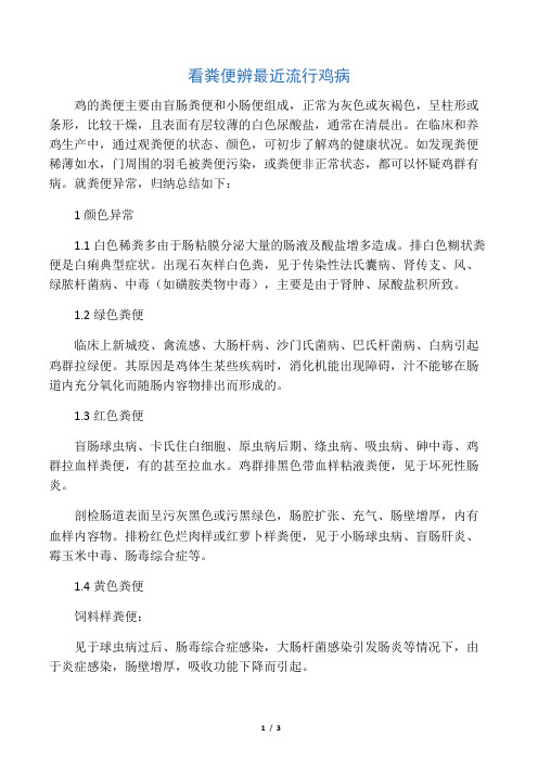 看粪便辨最近流行鸡病