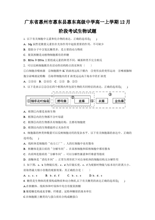 广东省惠州市惠东县惠东高级中学高一上学期12月阶段考试生物试题