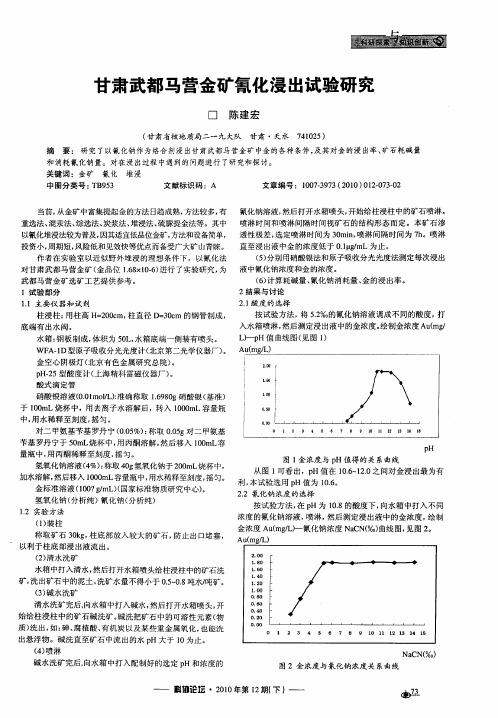 甘肃武都马营金矿氰化浸出试验研究