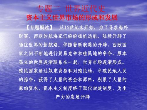 资本主义世界市场的形成和发展
