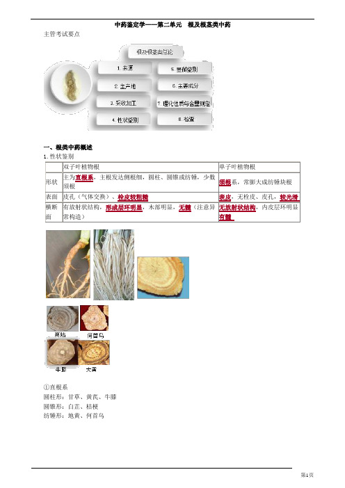 主管中药师-专业知识-中药鉴定学-根及根茎类中药(68页)