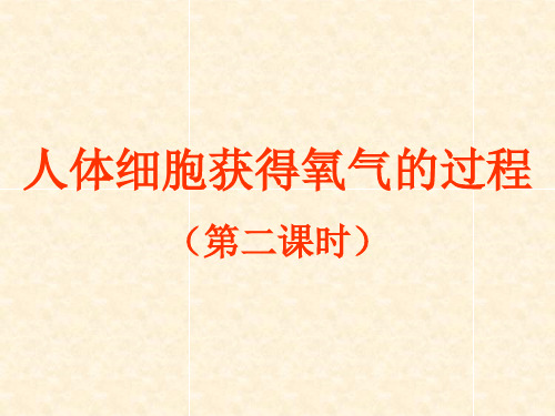 人体细胞获得氧气的过程 PPT课件