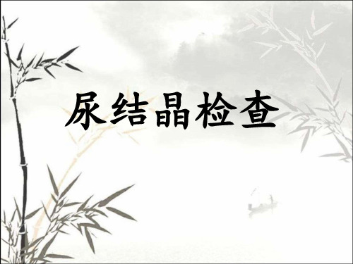 尿液结晶ppt课件