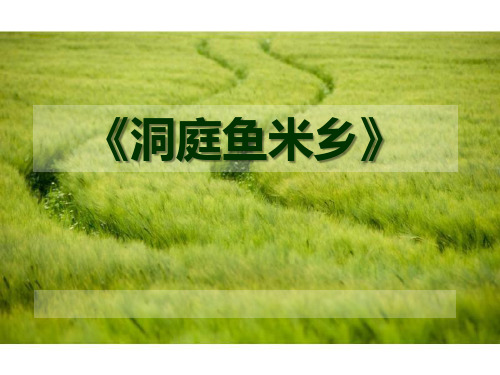 《洞庭鱼米乡》5-七年级音乐下册PPT课件