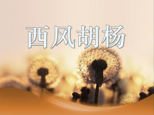 《西风胡杨》PPT精品教学课件3