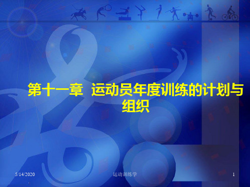 运动训练周期与计划组织