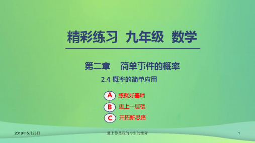 九年级数学上册第二章简单事件的概率2.4概率的简单应用188