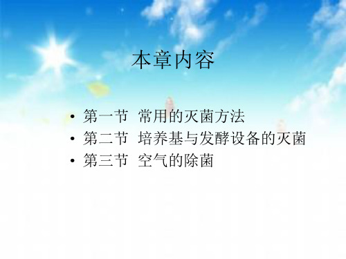 第四章 发酵工程的灭菌与空气除菌