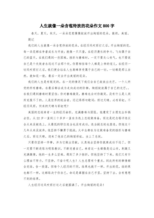人生就像一朵含苞待放的花朵作文800字