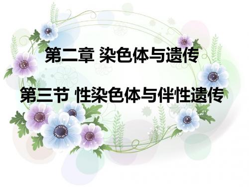 浙科版必修2 性染色体与伴性遗传 课件(28张)