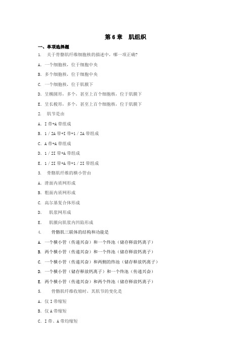 第6章 肌组织