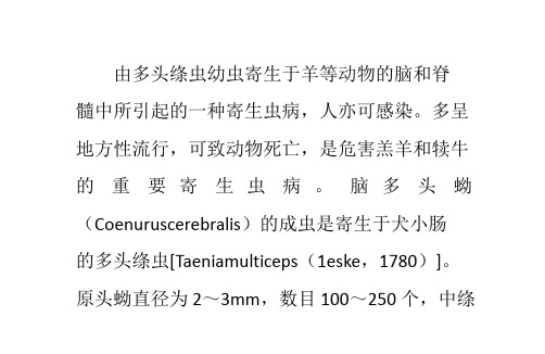 羊脑多头蚴病
