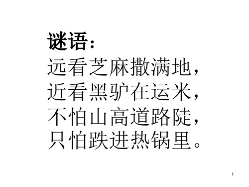 【推荐】三年级上册科学课件-4.1《寻访蚂蚁》 ｜大象版        (共33张PPT)