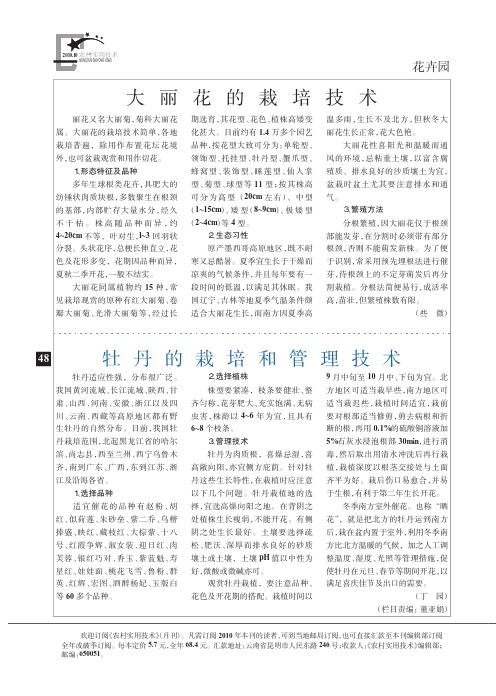 大丽花的栽培技术