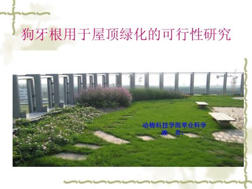 狗牙根用于屋顶绿化的可行性研究