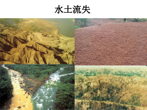 (完整版)水土流失及其治理