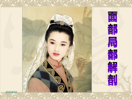 整形基础——面部解剖