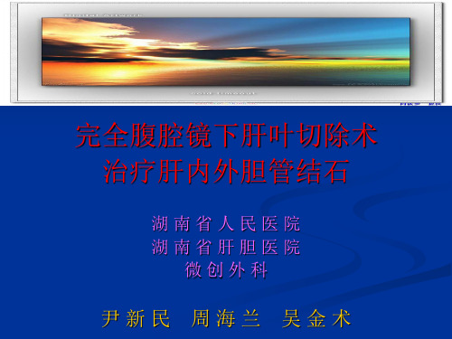 腹腔镜肝叶切除幻灯片