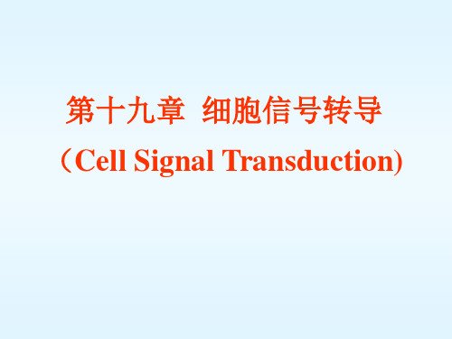细胞信息传递