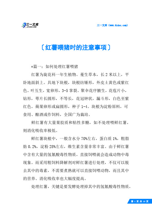 红薯喂猪时的注意事项