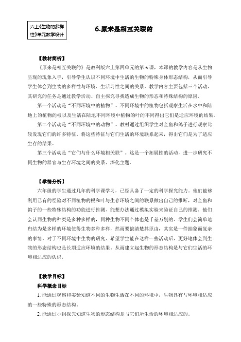 最新教科版六年级上册科学《原来是相互关联的》教案