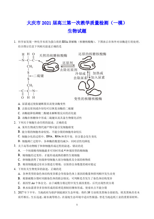 大庆市2021届高三第一次教学质量检测(一模) 生物试题(含答案)