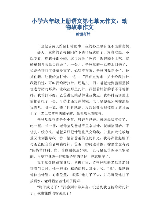 小学六年级上册语文第七单元作文：动物故事作文给猪打针