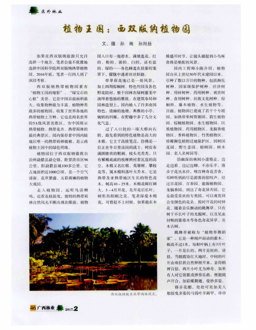 植物王国：西双版纳植物园
