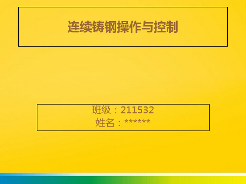 连续铸钢完整版文档