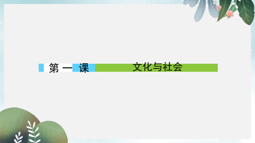 高中政治1.1.1体味文化课件新人教版必修3