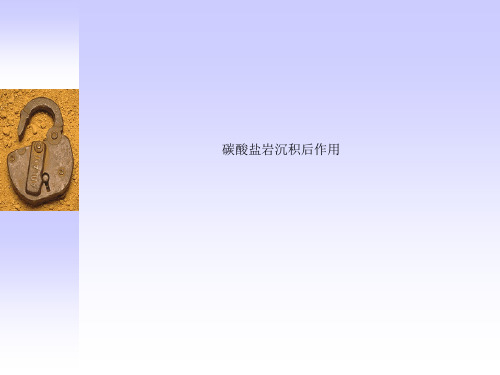 碳酸盐岩沉积后作用