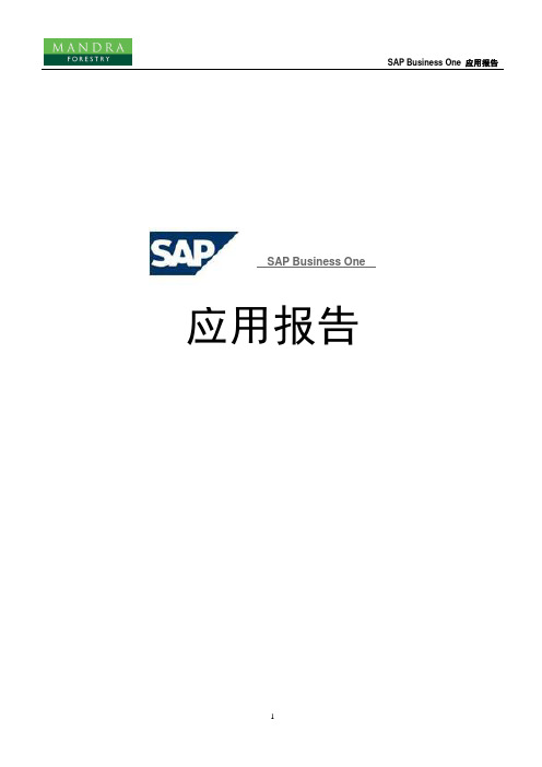 SAP+Business+One+应用报告