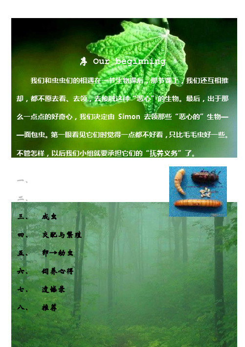 面包虫全纪录(+图)