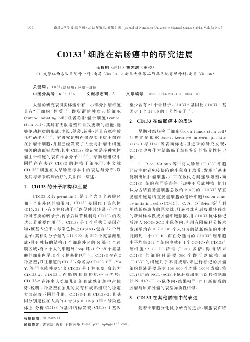 CD133_细胞在结肠癌中的研究进展