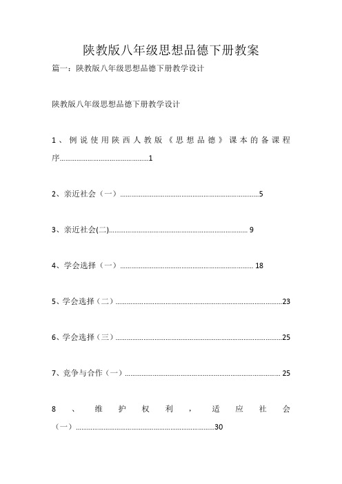 陕教版八年级思想品德下册教案_2104
