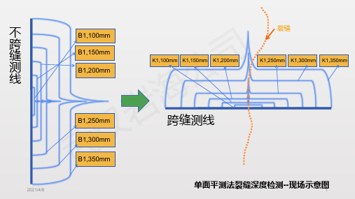 检测示意图PPT课件