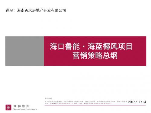 世联海口鲁能海蓝椰风项目度营销策略总纲