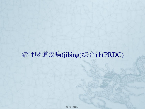 杨汉春猪呼吸道疾病综合征(PRDC)