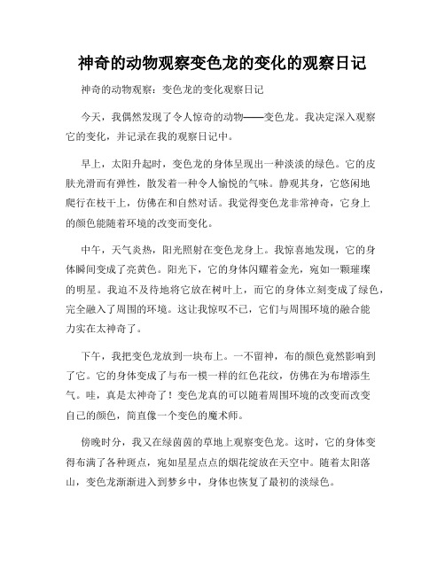 小学三年级作文神奇的动物观察变色龙的变化的观察日记