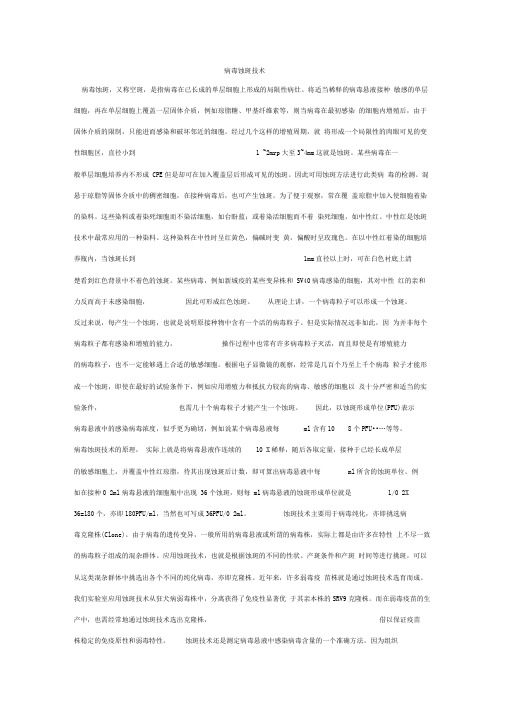 病毒蚀斑技术
