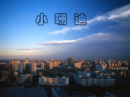 人教版小学五年级语文小珊迪