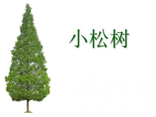 【小学课件】《小松树》优质PPT课件2