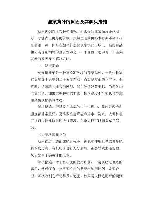 韭菜黄叶的原因及其解决措施