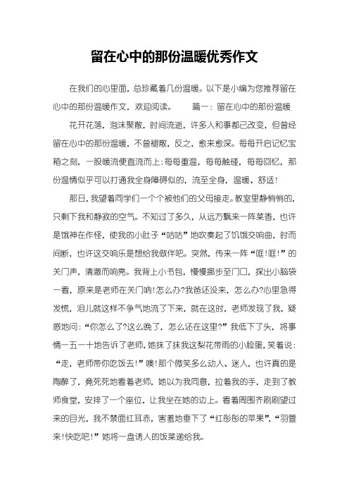 留在心中的那份温暖优秀作文