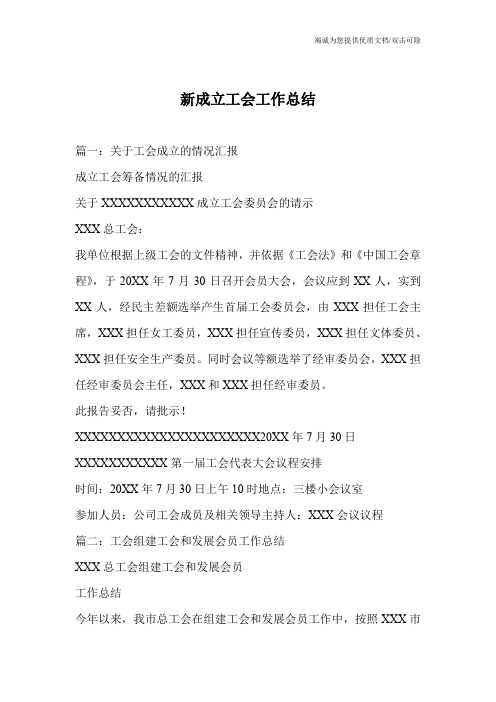新成立工会工作总结