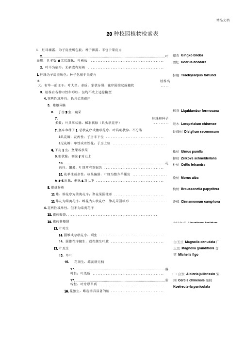 20种校园植物检索表